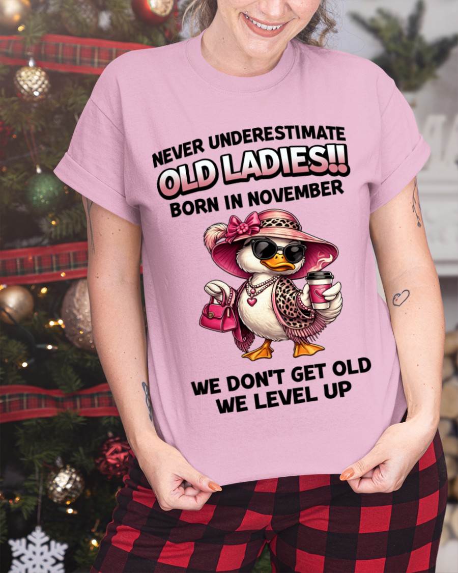 NOVEMBER LADIES – WE DON’T GET OLD, WE LEVEL UP - FOR WOMEN - TLEE11 (SKU2604-35-11)