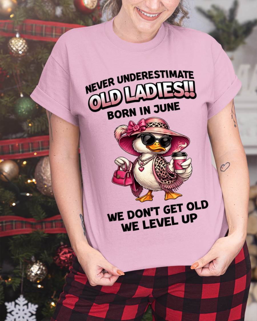 JUNE LADIES – WE DON’T GET OLD, WE LEVEL UP - FOR WOMEN - TLEE06 (SKU2604-35-06)