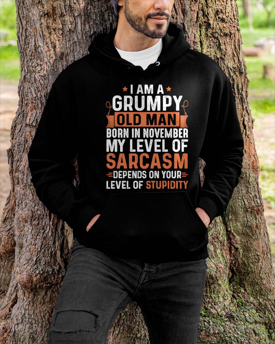 NOVEMBER - SARCASTIC LEVEL: DEPENDS ON YOUR STUPIDITY SHIRT - GIFT FOR MAN - TLEE11 (SKU10-70-11)