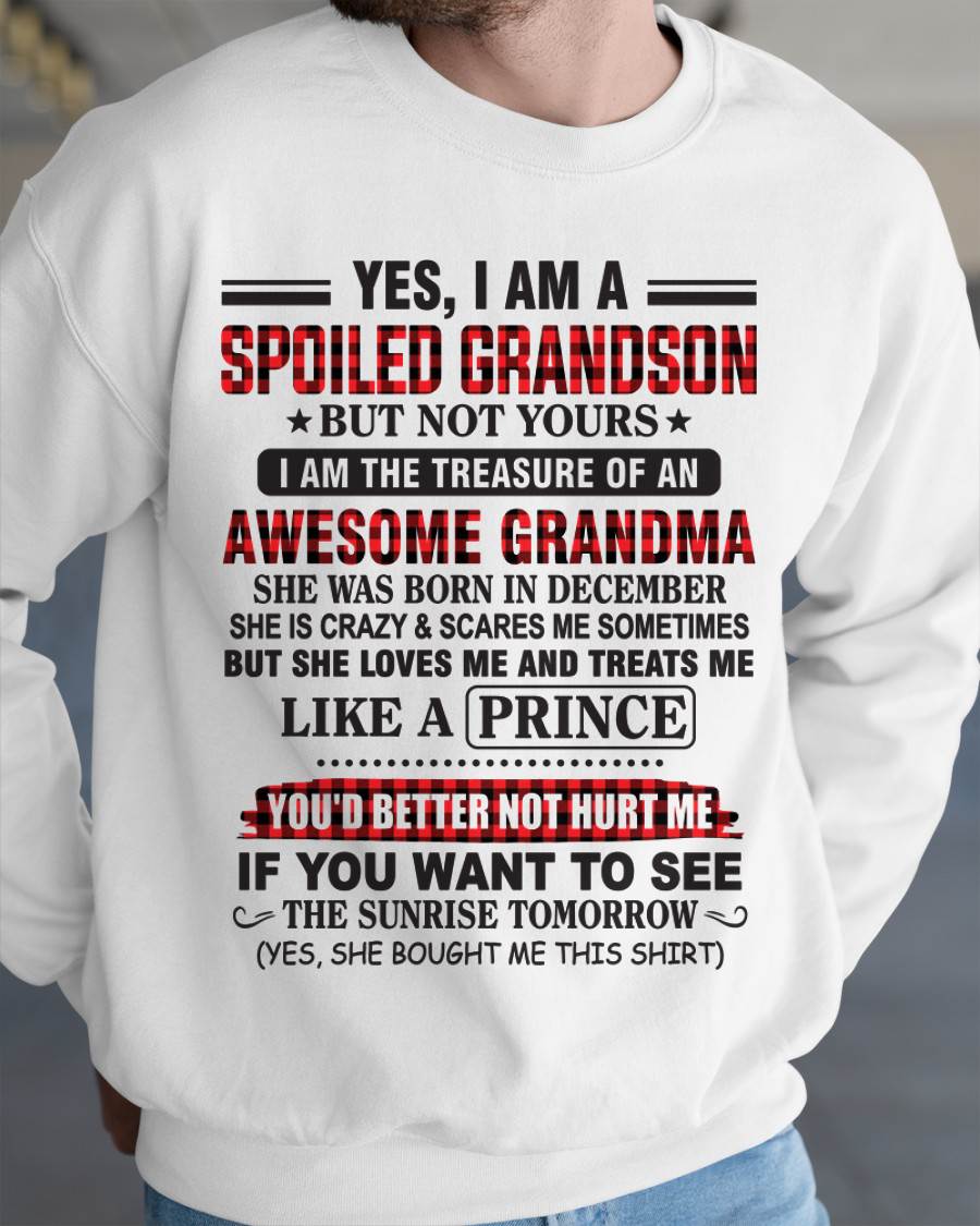 DECEMBER - YES, I AM A SPOILED GRANDSON BUT NOT YOURS I AM THE TREASURE OF AN AWESOME GRANDMA - FROM GRANDMA - TLEE12 (SKU2602-108-12)
