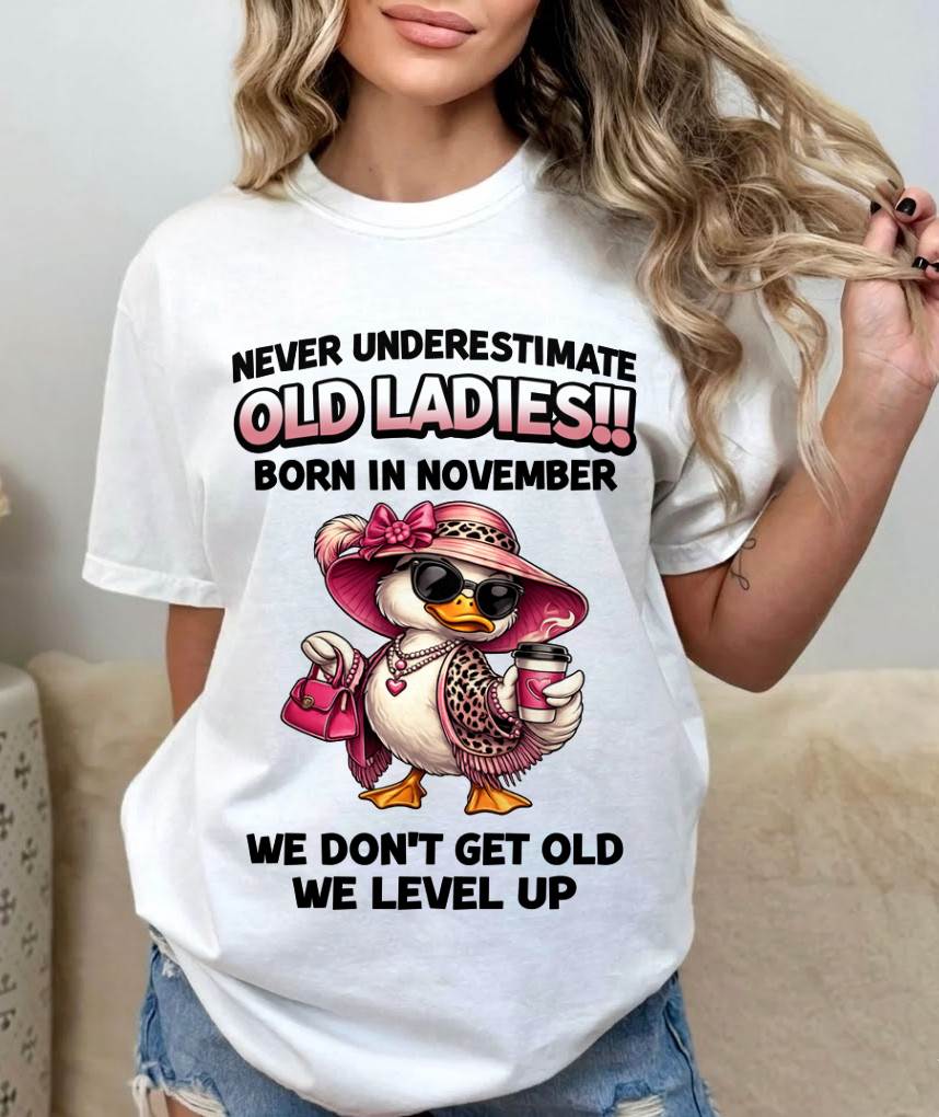 NOVEMBER LADIES – WE DON’T GET OLD, WE LEVEL UP - FOR WOMEN - TLEE11 (SKU2604-35-11)